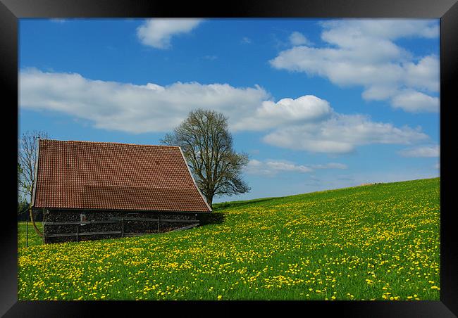 Spring colours in Bavaria Framed Print by Claudio Del Luongo