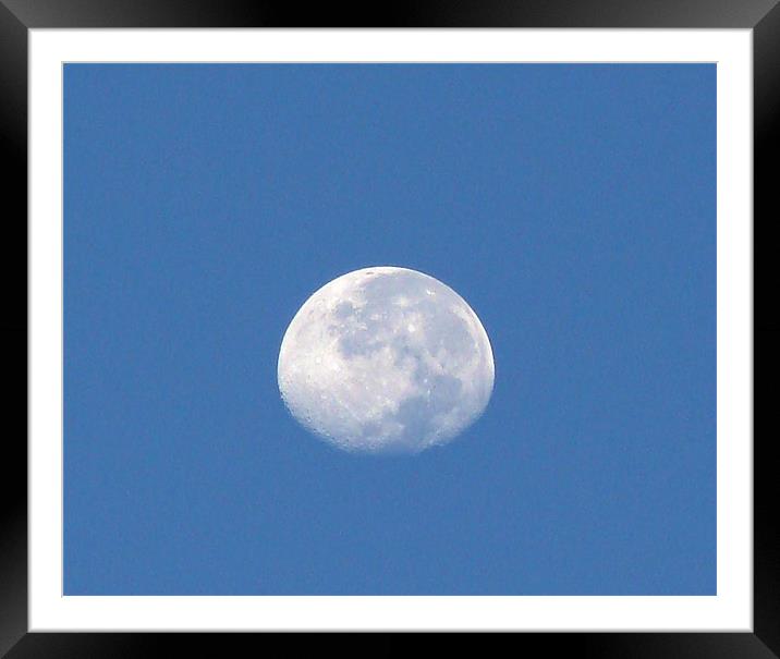 The Morning Moon  Framed Mounted Print by Ankit Mahindroo