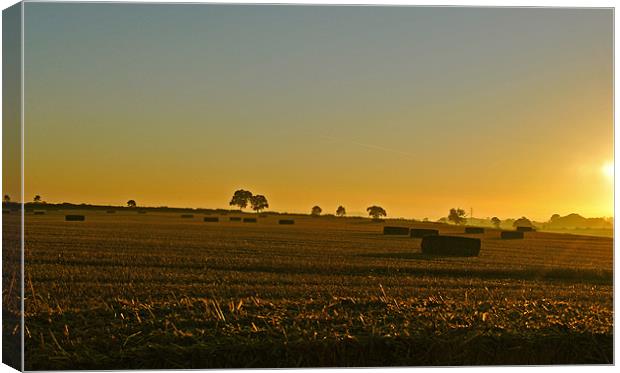 Harvest Sunrise Canvas Print by graham young