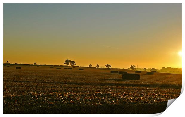 Harvest Sunrise Print by graham young