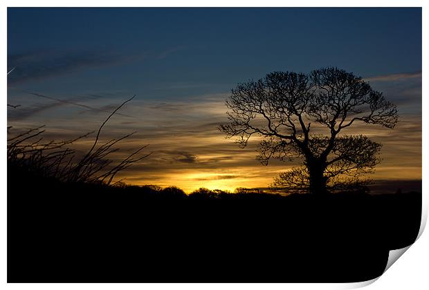 December sunrise in Greasby Print by Paul Farrell Photography