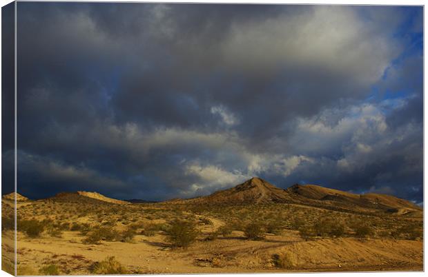 Nevada desert under mixed skies Canvas Print by Claudio Del Luongo