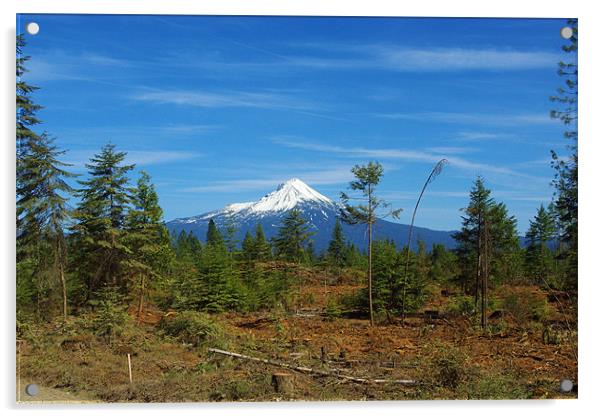 Mount McLoughlin, Oregon Acrylic by Claudio Del Luongo