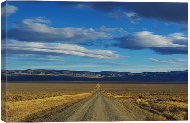 Dirt road through Nevada Canvas Print by Claudio Del Luongo