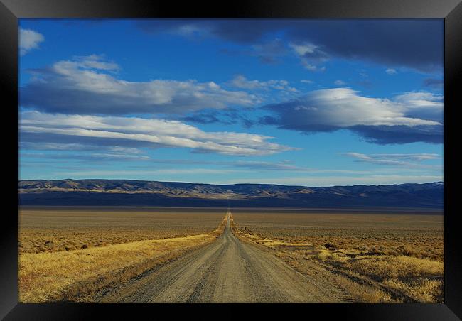 Dirt road through Nevada Framed Print by Claudio Del Luongo