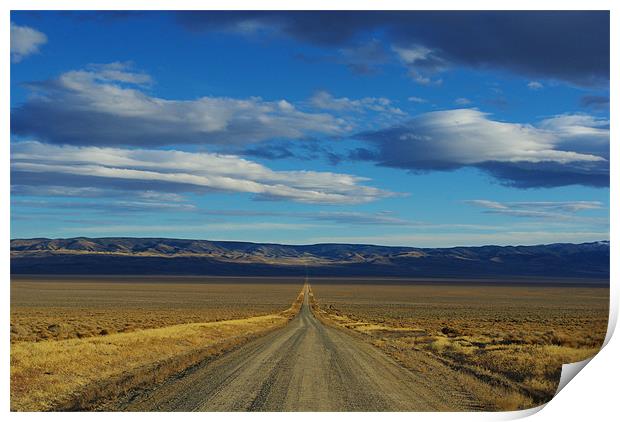 Dirt road through Nevada Print by Claudio Del Luongo