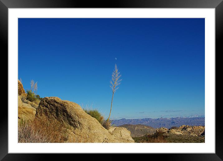 Near Christmas Tree Pass, Nevada Framed Mounted Print by Claudio Del Luongo