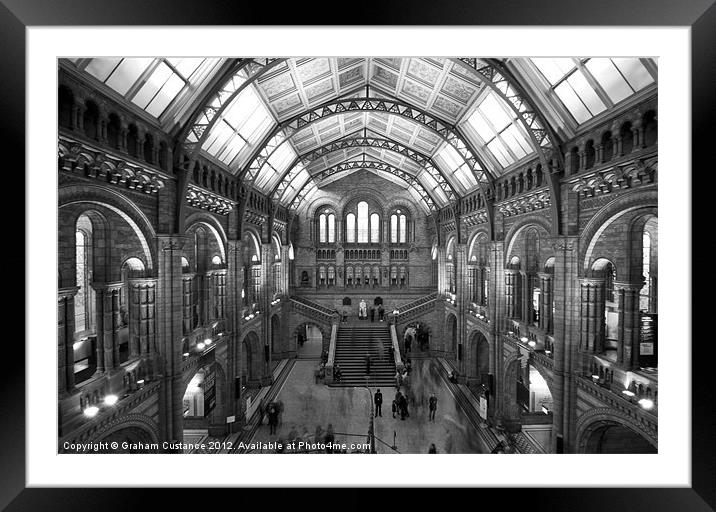 Natural History Museum Framed Mounted Print by Graham Custance