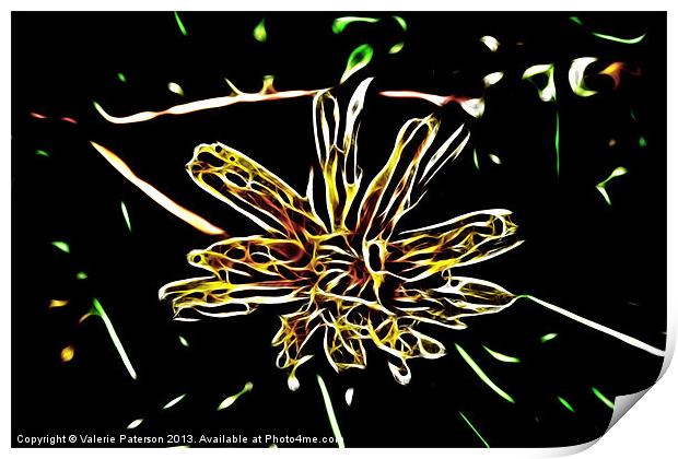 Petals in Light Print by Valerie Paterson