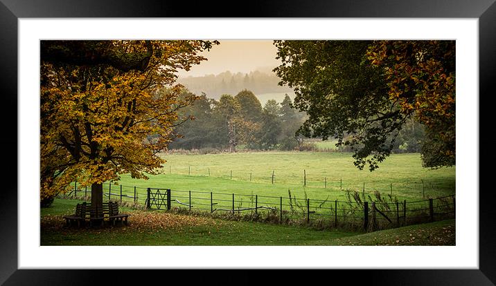 English Autumn Landscape Framed Mounted Print by Tim Taylor
