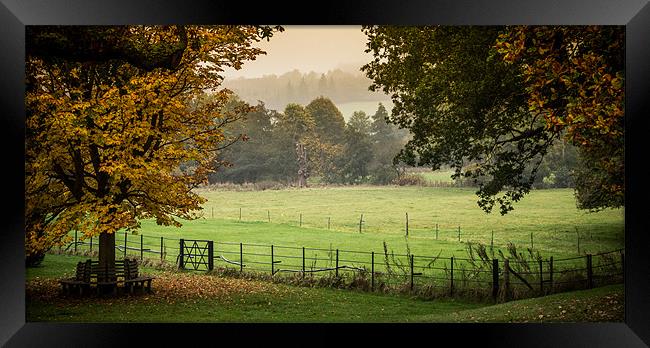 English Autumn Landscape Framed Print by Tim Taylor