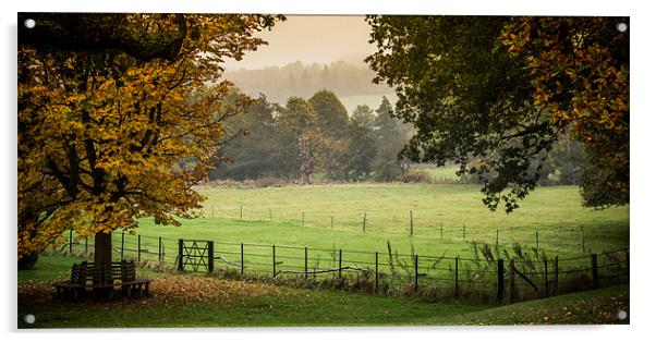 English Autumn Landscape Acrylic by Tim Taylor