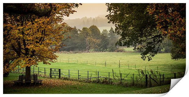 English Autumn Landscape Print by Tim Taylor