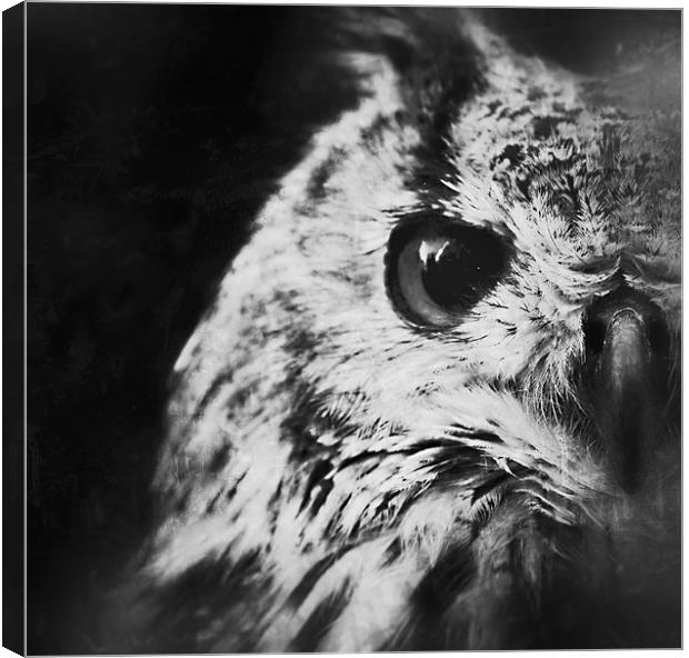 Eagle Owl Canvas Print by Celtic Origins