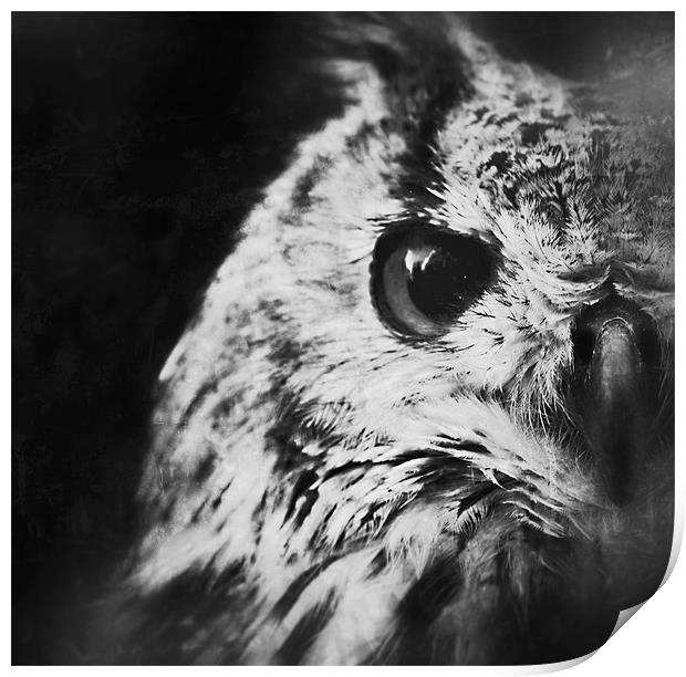 Eagle Owl Print by Celtic Origins