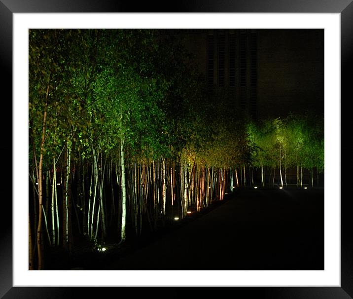 Trees at night  Framed Mounted Print by Tristan Lea