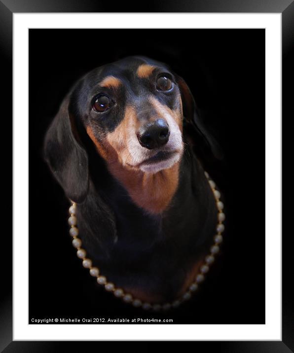 Daschund in Pearls Framed Mounted Print by Michelle Orai