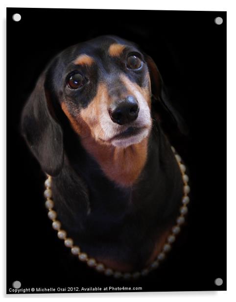 Daschund in Pearls Acrylic by Michelle Orai