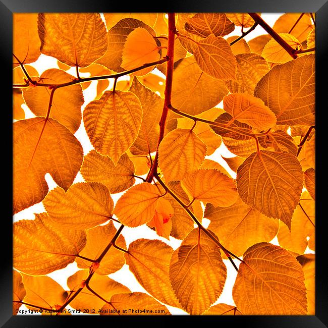 Orange leaves Framed Print by Kathleen Smith (kbhsphoto)