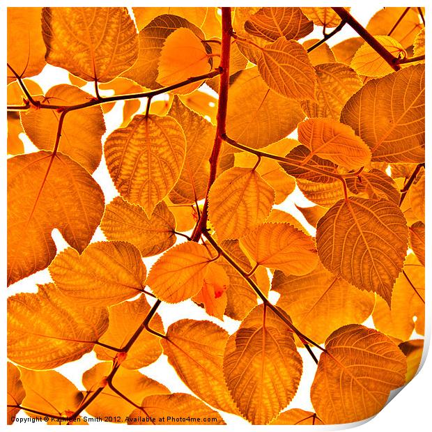 Orange leaves Print by Kathleen Smith (kbhsphoto)