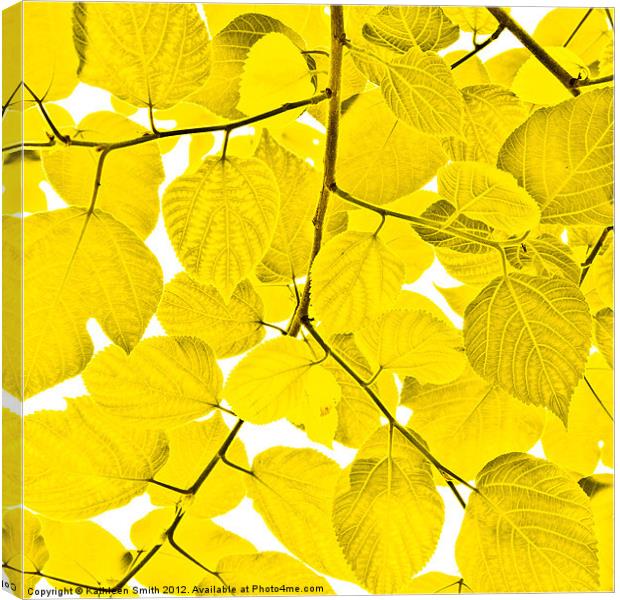 Yellow leaves Canvas Print by Kathleen Smith (kbhsphoto)
