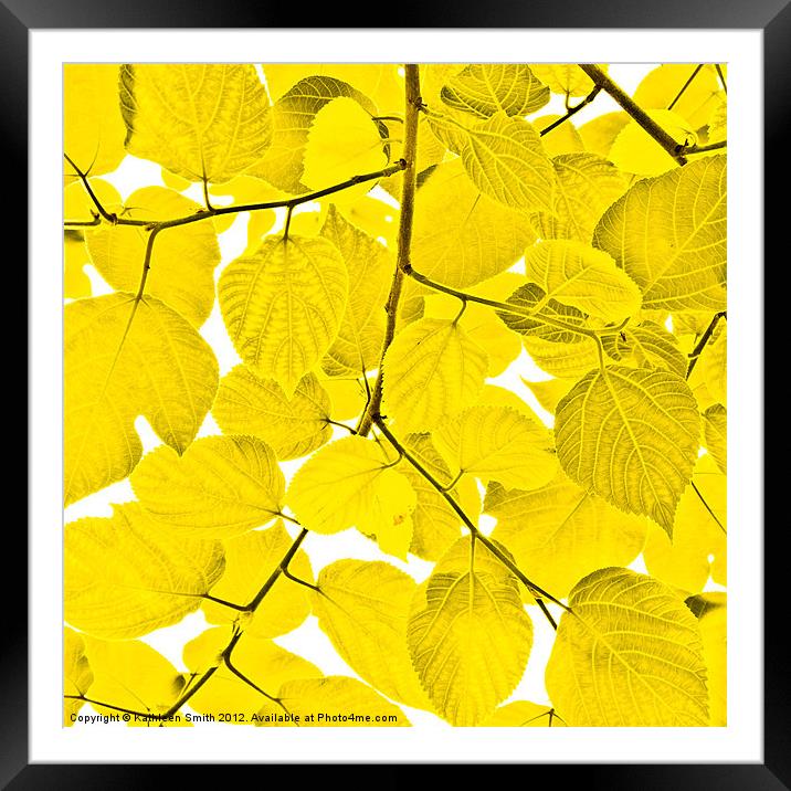 Yellow leaves Framed Mounted Print by Kathleen Smith (kbhsphoto)