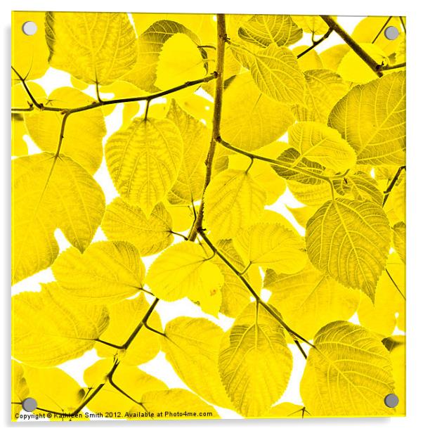 Yellow leaves Acrylic by Kathleen Smith (kbhsphoto)