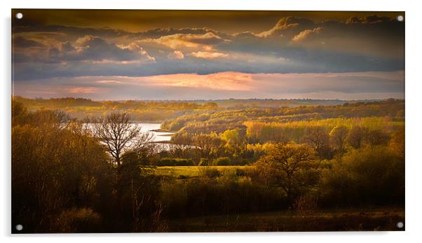 Bewl Water - Evening Light Acrylic by steve weston