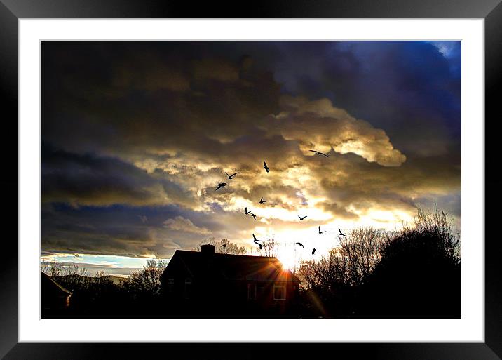 Christmas day 2012, sunset Framed Mounted Print by Catherine Davies