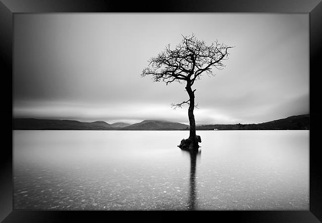 The Tree, Loch Lomond Framed Print by Grant Glendinning