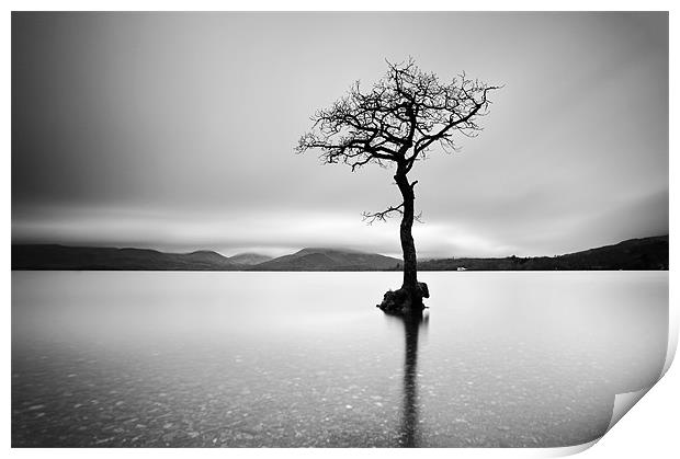 The Tree, Loch Lomond Print by Grant Glendinning