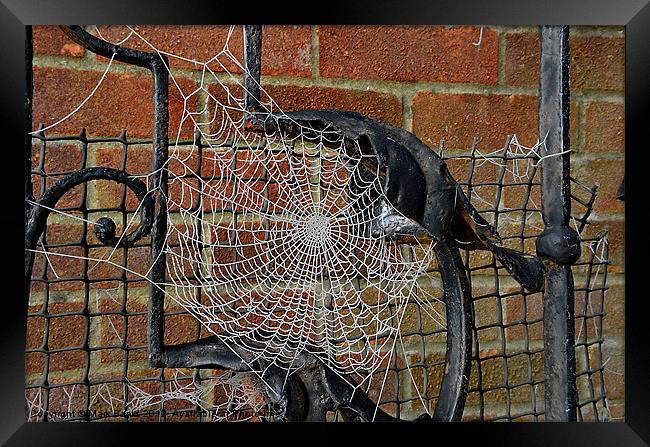 Frozen Spider Web Framed Print by Mark  F Banks