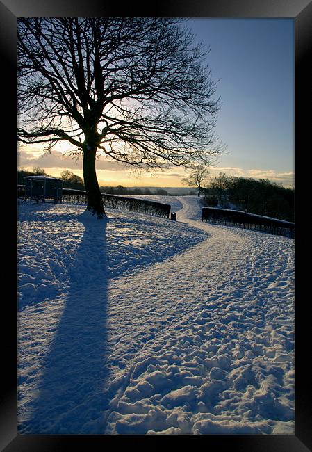 Footpath Through The Snow Framed Print by Darren Galpin
