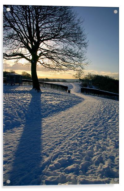 Footpath Through The Snow Acrylic by Darren Galpin