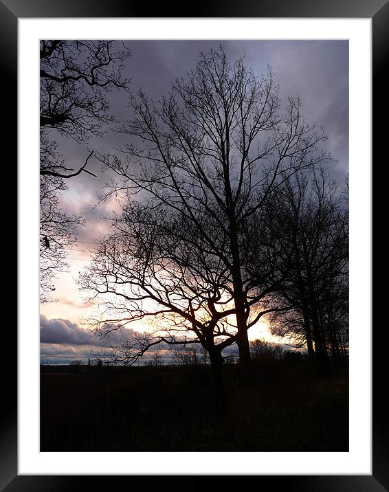 Winter Silhouettes Framed Mounted Print by Noreen Linale