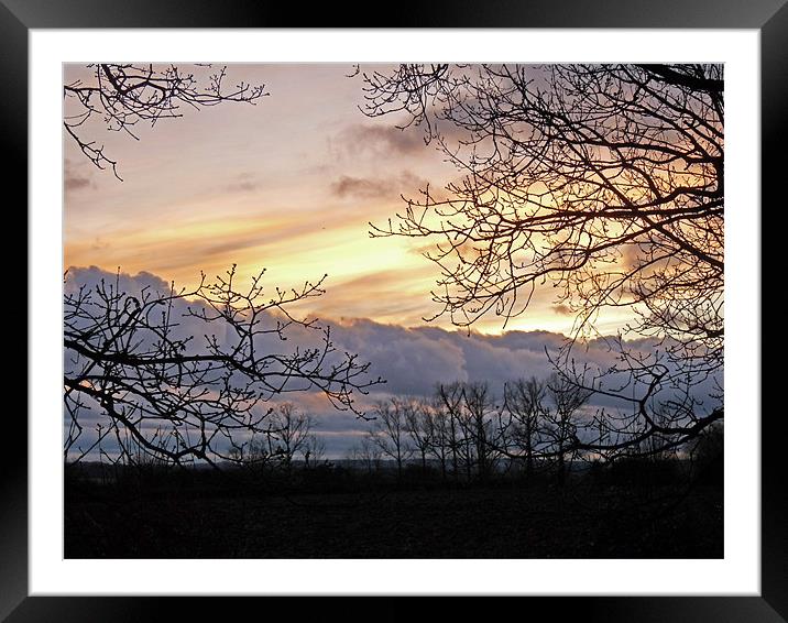 Last Light Framed Mounted Print by Noreen Linale