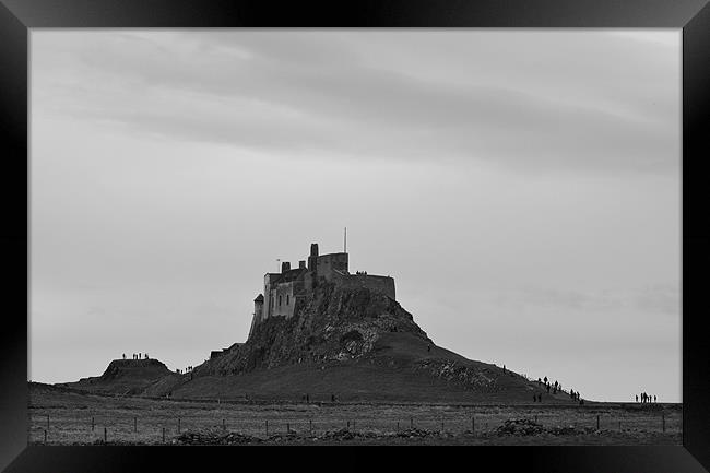 Lindisfarne Castle on hill Framed Print by Shaun Cope