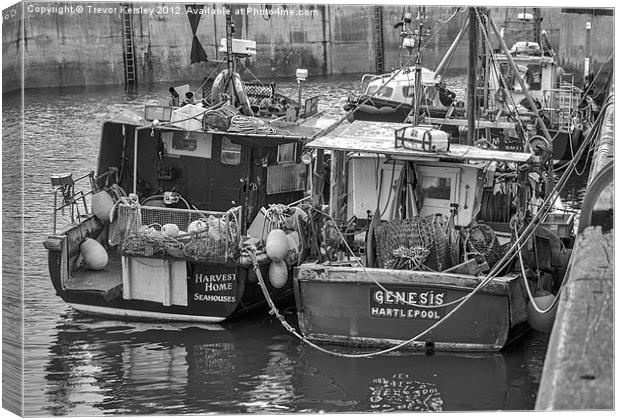 Fishing Boats Seahouses Canvas Print by Trevor Kersley RIP