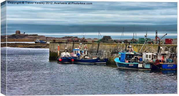 Seahouses Harbour Canvas Print by Trevor Kersley RIP