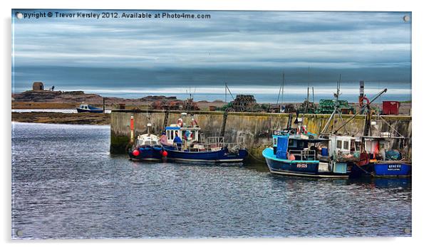 Seahouses Harbour Acrylic by Trevor Kersley RIP