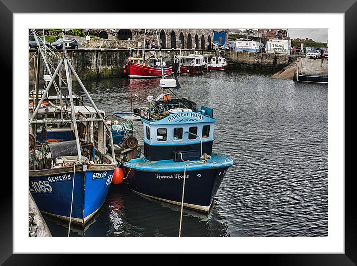 The Harbour Seahouses Framed Mounted Print by Trevor Kersley RIP