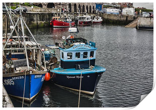 The Harbour Seahouses Print by Trevor Kersley RIP