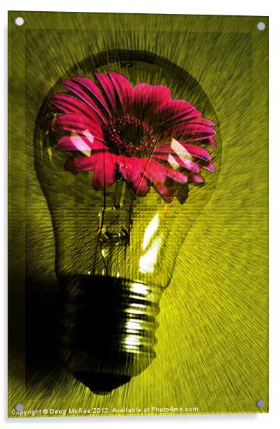 Flowering bulb Acrylic by Doug McRae