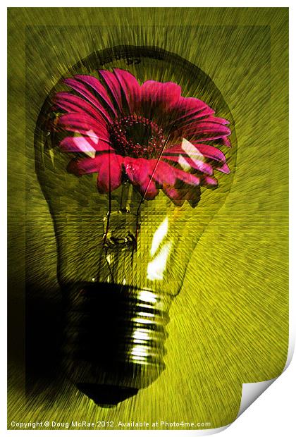 Flowering bulb Print by Doug McRae