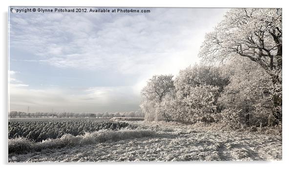 Another Frosty Morning Acrylic by Glynne Pritchard