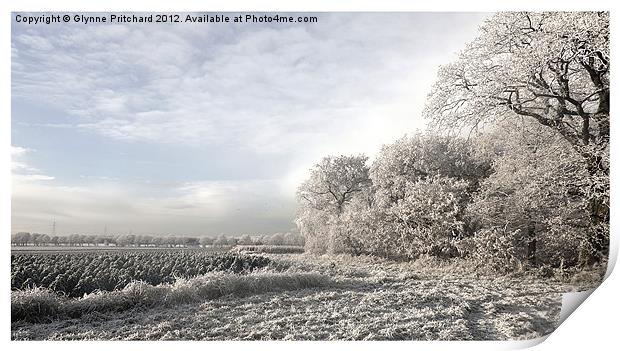 Another Frosty Morning Print by Glynne Pritchard