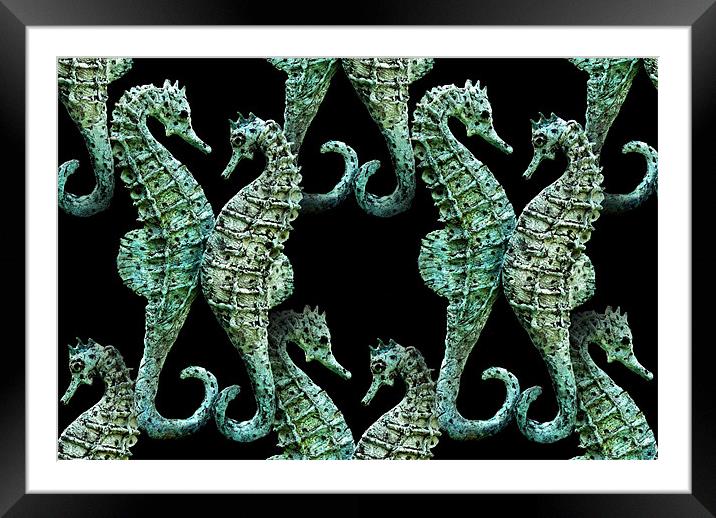 seahorses 2 Framed Mounted Print by Heather Newton