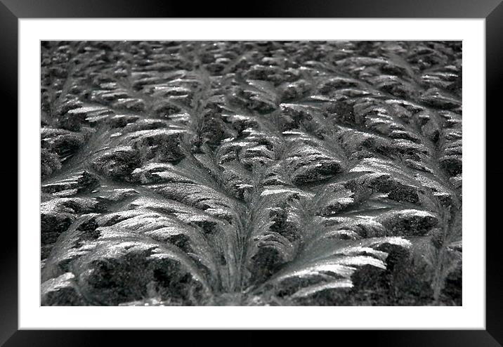 Frost patterns Framed Mounted Print by Lisa Shotton
