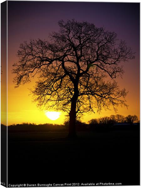 Tree Sunrise Silhouette Canvas Print by Darren Burroughs