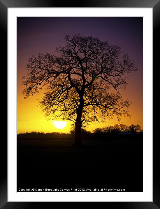 Tree Sunrise Silhouette Framed Mounted Print by Darren Burroughs